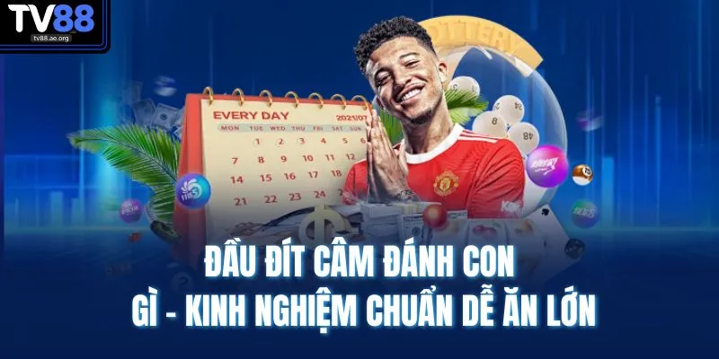 Đầu Đít Câm Đánh Con Gì - Kinh Nghiệm Chuẩn Dễ Ăn Lớn